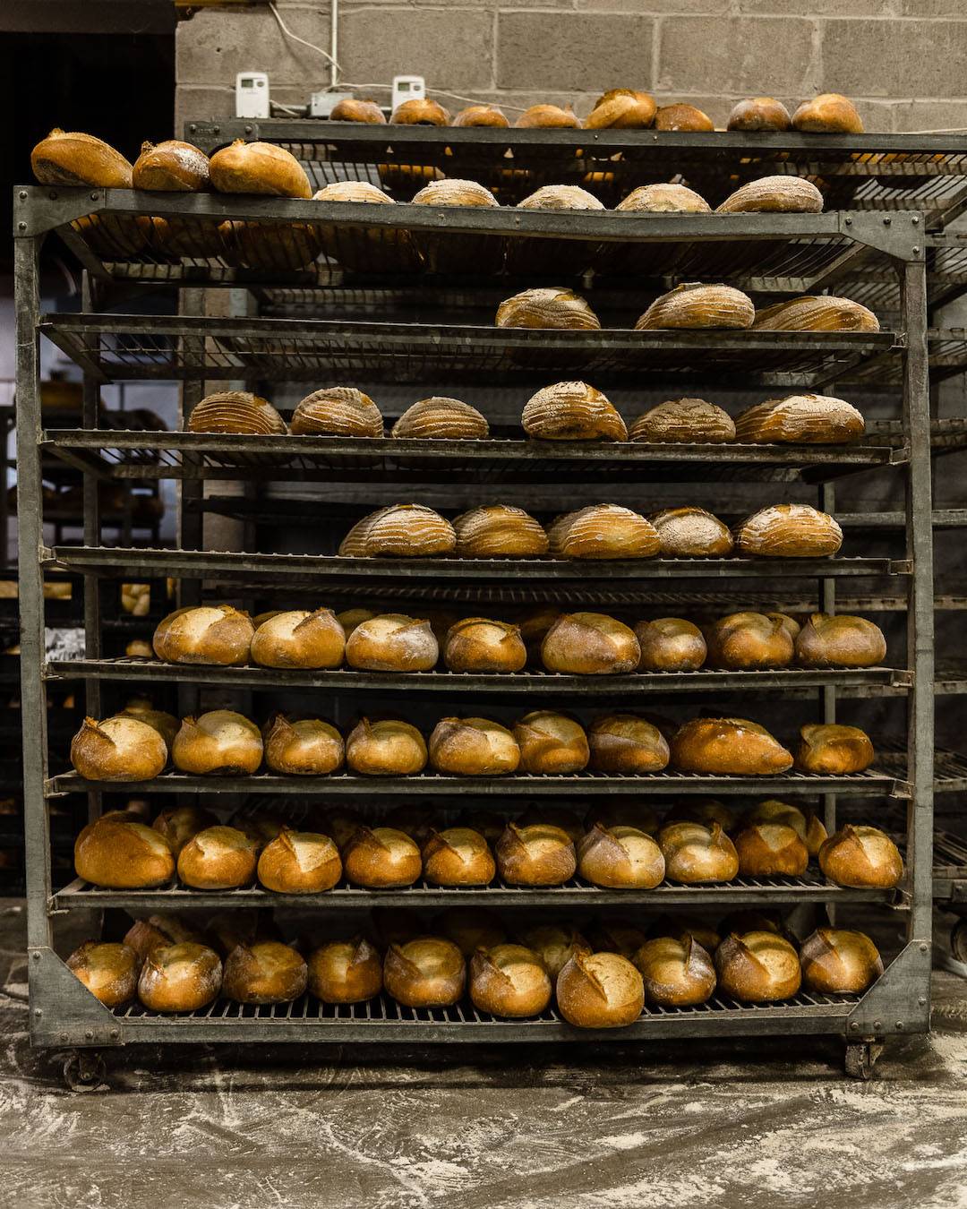 Local Legends: King Arthur Baking Co - Price Chopper - Market 32