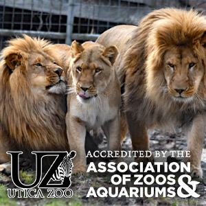 Utica Zoo - Free Admission Day! - Price Chopper - Market 32